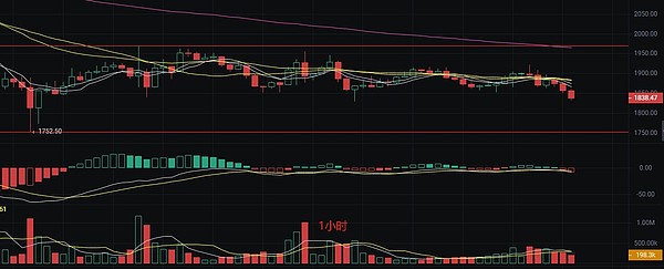 羊驼币(ALPACA)暴涨28%背后：DeFi新贵能否复制FIL辉煌？